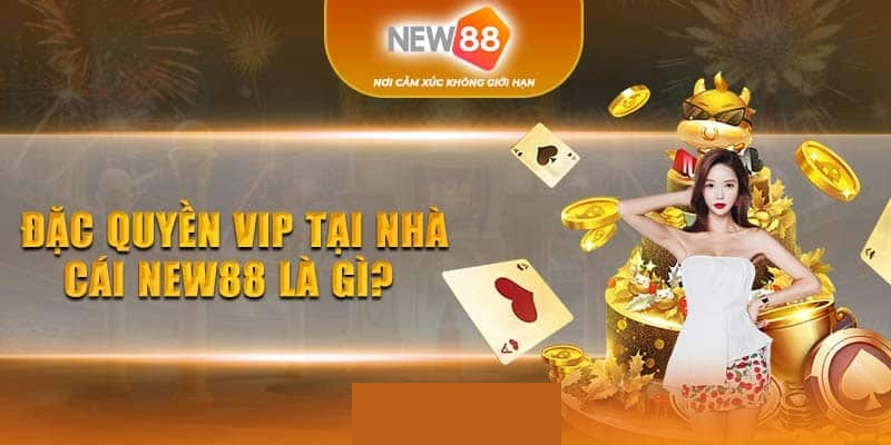 Tìm hiểu Đặc quyền New88 VIP